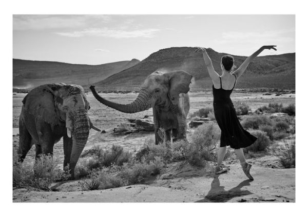 Matthew Brookes: Expression of Freedom: Through the World of Dance