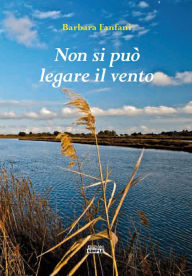 Title: Non si può legare il vento, Author: Barbara Fanfani