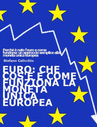 Title: EURO: che cos'è e come funziona la moneta unica europea: Perché è nato l'euro e come funziona: un approccio semplice alla moneta unica europea, Author: Stefano Calicchio