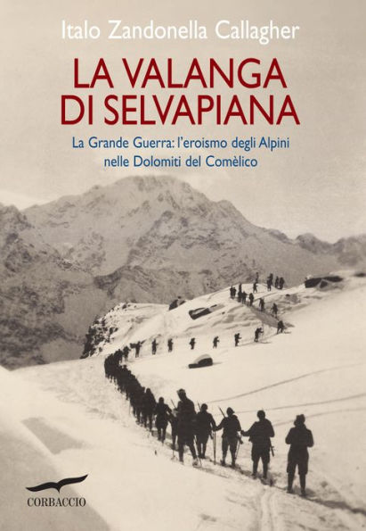 La valanga di Selvapiana: La Grande Guerra: l'eroismo degli Alpini nelle Dolomiti di Comélico