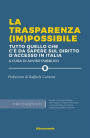 La trasparenza (im)possibile: tutto quello che c'è da sapere sul diritto d'accesso in Italia