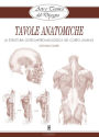 Arte e Tecnica del Disegno - 15 - Tavole anatomiche: La struttura osteo-artro-miologica del corpo umano