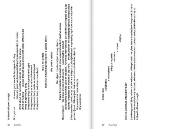Marco Mazzi & Elisabetta Porcinai: Industrial: On Hacking Consciousness and Reprogramming Language