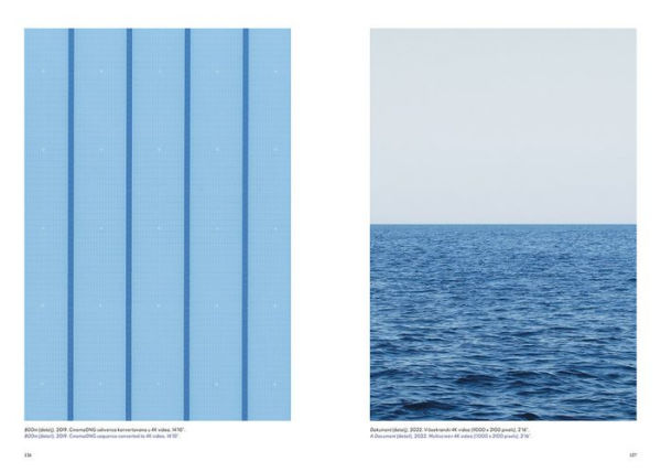Vladimir Nikolic: Walking with Water: The Pavilion of the Republic of Serbia - 59th International Art Exhibition, la Biennale di Venezia