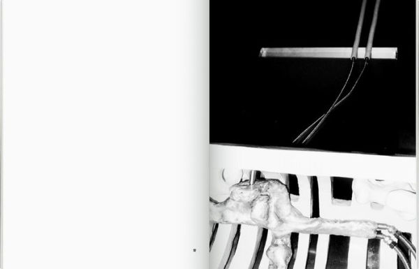 Isabelle Andriessen: Dorm