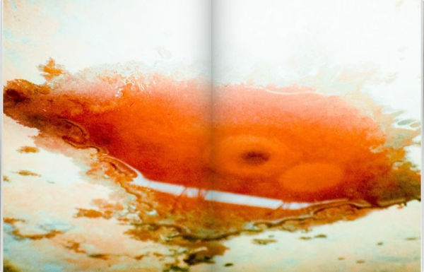 Isabelle Andriessen: Dorm