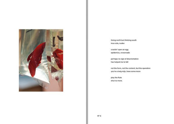 Vanessa Safavi: Alien Armpit