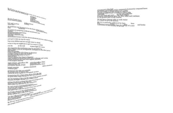 Alessandro De Francesco: And Agglomerations, of Trees or
