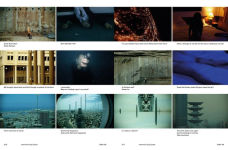 Alternative view 3 of Ran Slavin: Shapeshifter