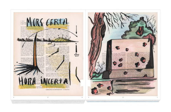 Mattia Denisse: Tout Encyclopaedia