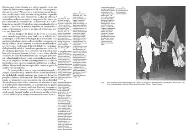 Hélio Oiticica: Parangolé