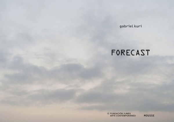Gabriel Kuri: Forecast