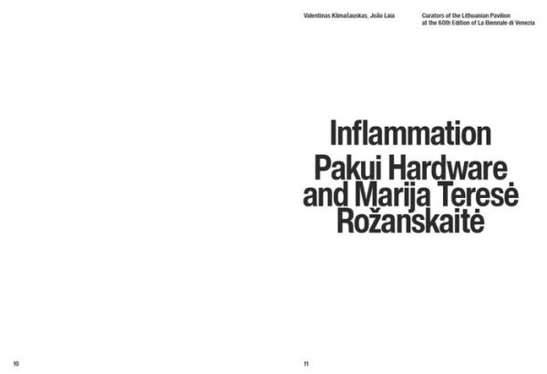 Pakui Hardware and Marija Terese Rozanskaite: Inflammation