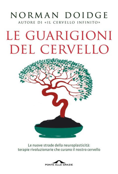 Le guarigioni del cervello: Le nuove strade della neuroplasticità: terapie rivoluzionarie che curano il nostro cervello