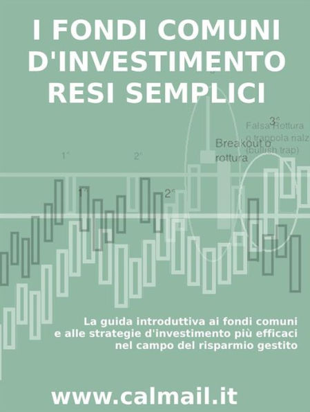 I fondi comuni d'investimento resi semplici. la guida introduttiva ai fondi comuni e alle strategie d'investimento più efficaci nel campo del risparmio gestito.