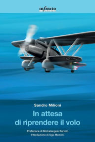 Title: In attesa di riprendere il volo, Author: Sandro Milioni