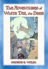 Title: THE ADVENTURES OF WHITE TAIL THE DEER - with Bumper the Rabbit and Friends, Author: George Ethelbert Walsh