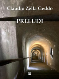 Title: Preludi: Meandri di scuro, Author: Claudio Zella Geddo