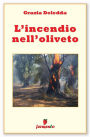 L'incendio nell'oliveto