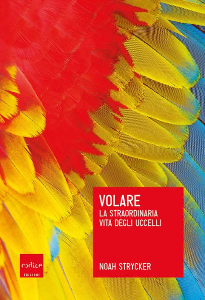 Volare: La straordinaria vita degli uccelli