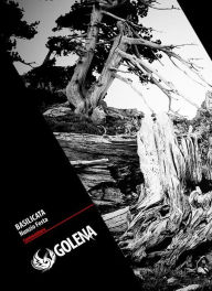Title: Basilicata: La Lucania: terra dei boschi bruciati (guida narrata coi luoghi e il resto), Author: Nunzio Festa
