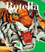Mimmo Rotella: Selected Works