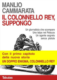 Title: Il colonnello Rey, suppongo: Un giornalista che scompare. Una talpa nel Palazzo. Un agente segreto senza pistola, Author: Manlio Cammarata