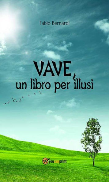 VAVE, un libro per illusi