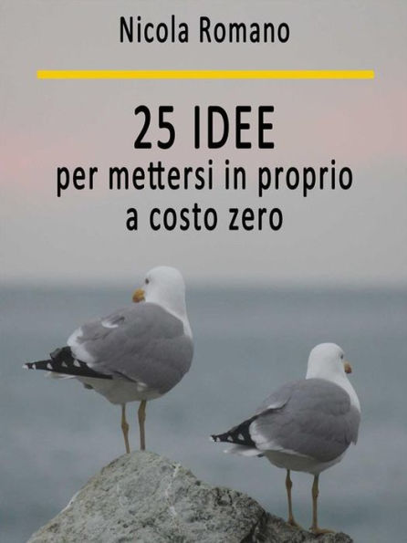 25 idee per mettersi in proprio a costo zero