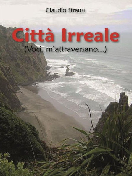 Città Irreale (Voci, m'attraversano...)