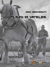 Title: Flash di un'alba, Author: Gino Benvenuti