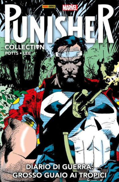 Punisher. Diario di guerra 2: Grosso guaio ai tropici