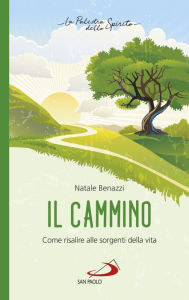 Title: Il cammino: Come risalire alle sorgenti della vita, Author: Natale Benazzi