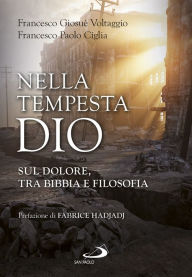 Title: Nella tempesta, Dio: Sul dolore, tra Bibbia e filosofia, Author: Francesco Paolo Ciglia