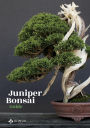 Juniper Bonsai Guide