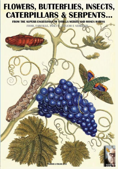 flowers, butterflies, insects, caterpillars & serpents...: From Sybilla Merian & Moses Hariss XVII-XVIII Centuries engravings