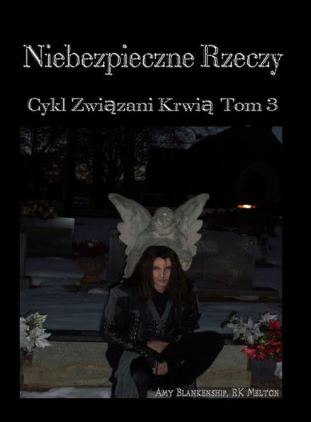 Niebezpieczne Rzeczy (Zwiazani Krwia Tom 3): Cykl Zwiazani Krwia Tom 3