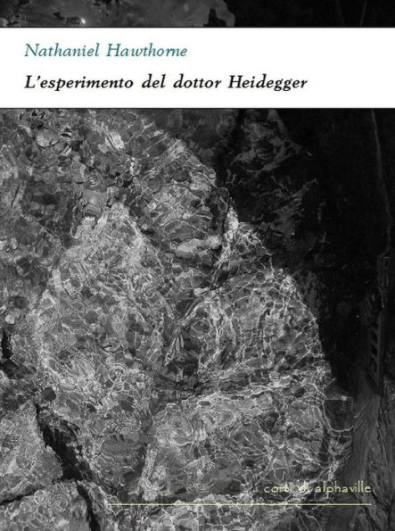 L'esperimento del dottor Heidegger