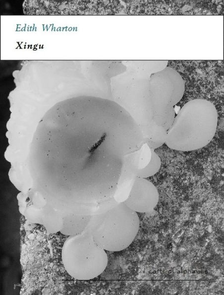 Xingu