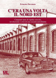 Title: C'era una volta il Nord Est: Cinquant'anni di rapida crescita, involuzione e e crisi di una società autodidatta, Author: Ernesto Davanzo