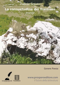 Title: La consuetudine dei frantumi, Author: Fulvio Segato