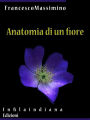 Anatomia di un fiore