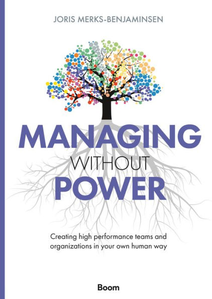 Managing Without Power: Creating high performance teams and organizations your own human way