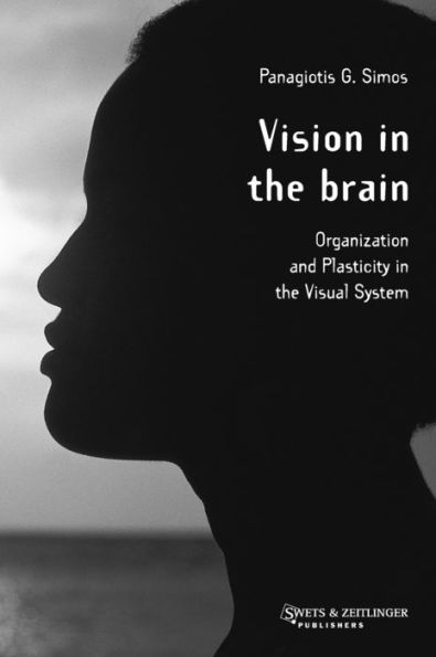 Vision in the Brain / Edition 1