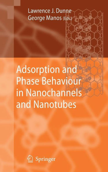 Adsorption and Phase Behaviour in Nanochannels and Nanotubes / Edition 1