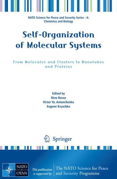 Self-Organization of Molecular Systems: From Molecules and Clusters to Nanotubes and Proteins / Edition 1