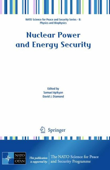 Nuclear Power and Energy Security / Edition 1