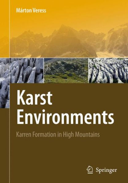 Karst Environments: Karren Formation in High Mountains / Edition 1