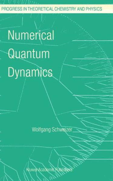 Numerical Quantum Dynamics / Edition 1