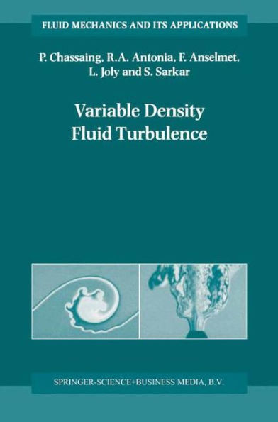 Variable Density Fluid Turbulence